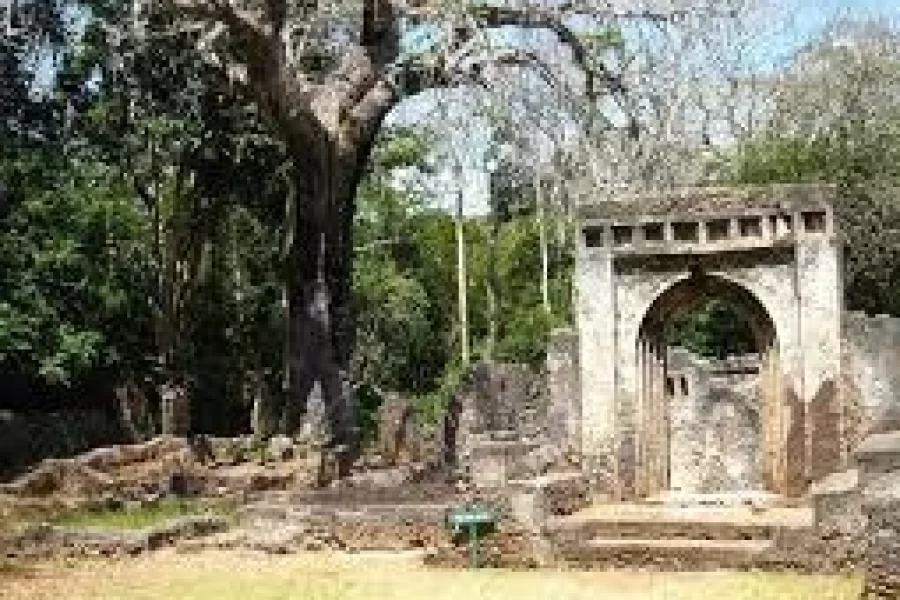 Malindi, Gedi Ruins & Marine Park Tour