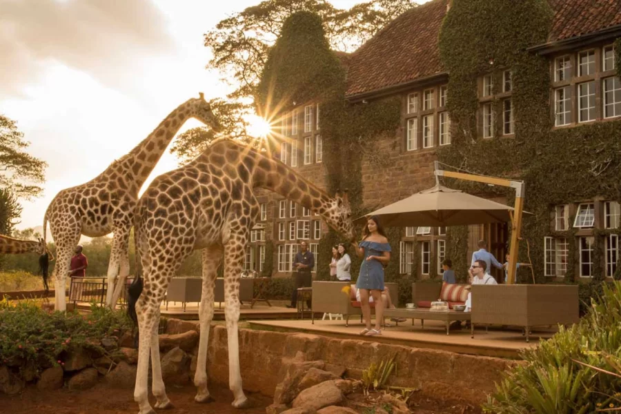 Giraffe Manor