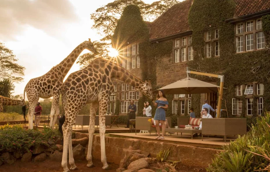 Giraffe Manor