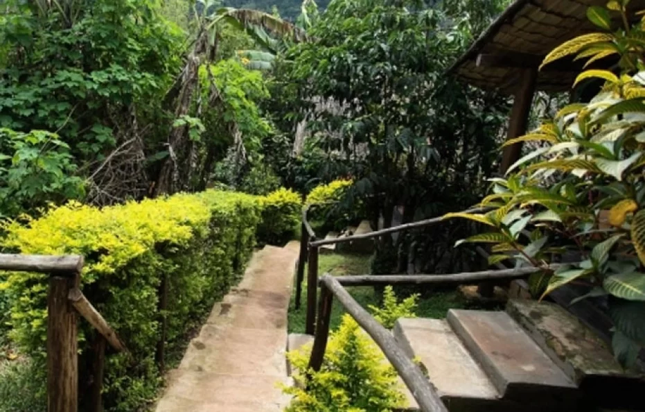 Lake Kitandara Bwindi Camp