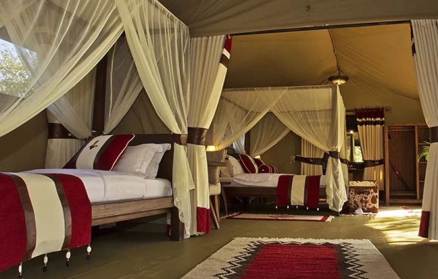 Mara Bush Camp