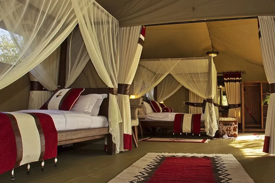 Mara Bush Camp