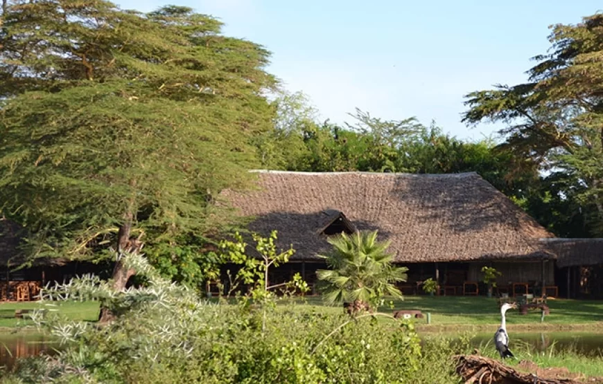 Ndolwa House