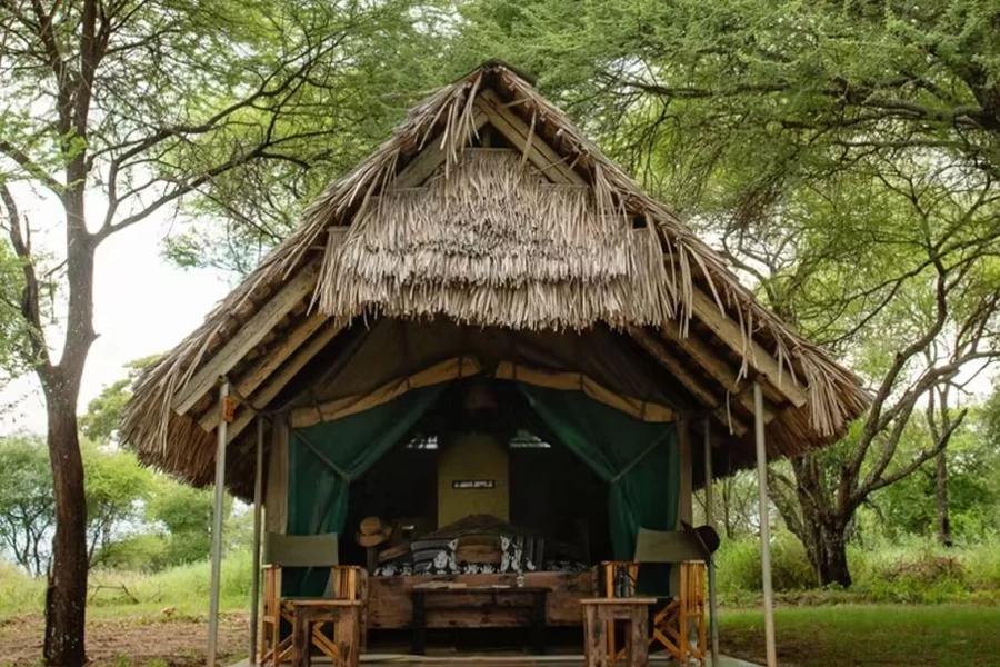 Selous Safari Camp