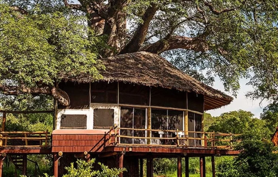 Tarangire treetops lodge