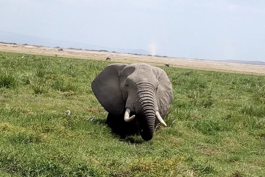 3 days Samburu safari