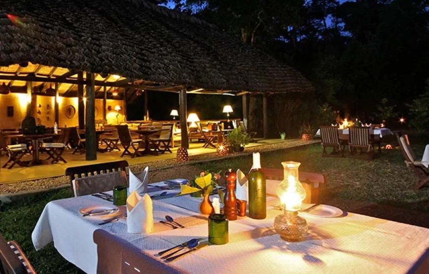 Wilderness Camp
