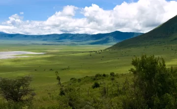 Nyerere national park