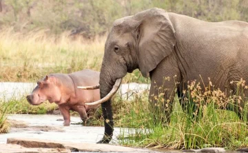 Saadani National Park